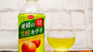 「えひめ飲料 POM 愛媛の芳醇キウイ」の画像(写真)1
