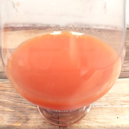 「さかえむらトマトジュース(無塩タイプ)」をテイスティンググラスに注いだ画像